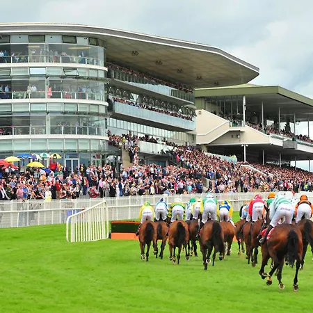 ホームステイ Only *